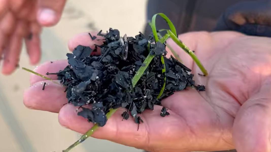 Çanakkale'deki büyük yangının izi Edirne'de: Kıyı şeridi küllerle kaplandı 4